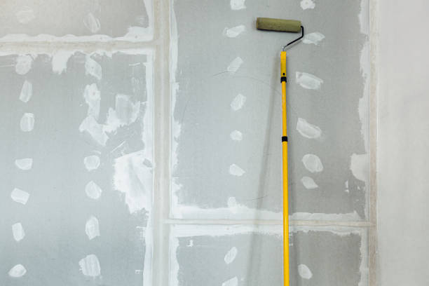 Best Basement Mold Removal  in Tutwiler, MS
