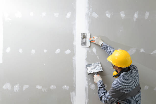 Mold Documentation for Insurance Claims in Tutwiler, MS