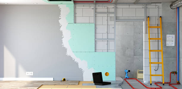 Professional Mold Removal in Tutwiler, MS