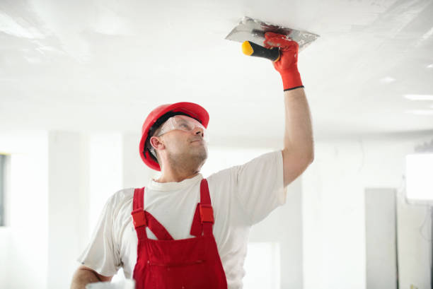 Best Mold Documentation for Insurance Claims  in Tutwiler, MS