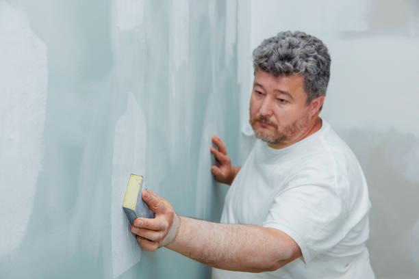 Best Post-Construction Mold Inspection  in Tutwiler, MS